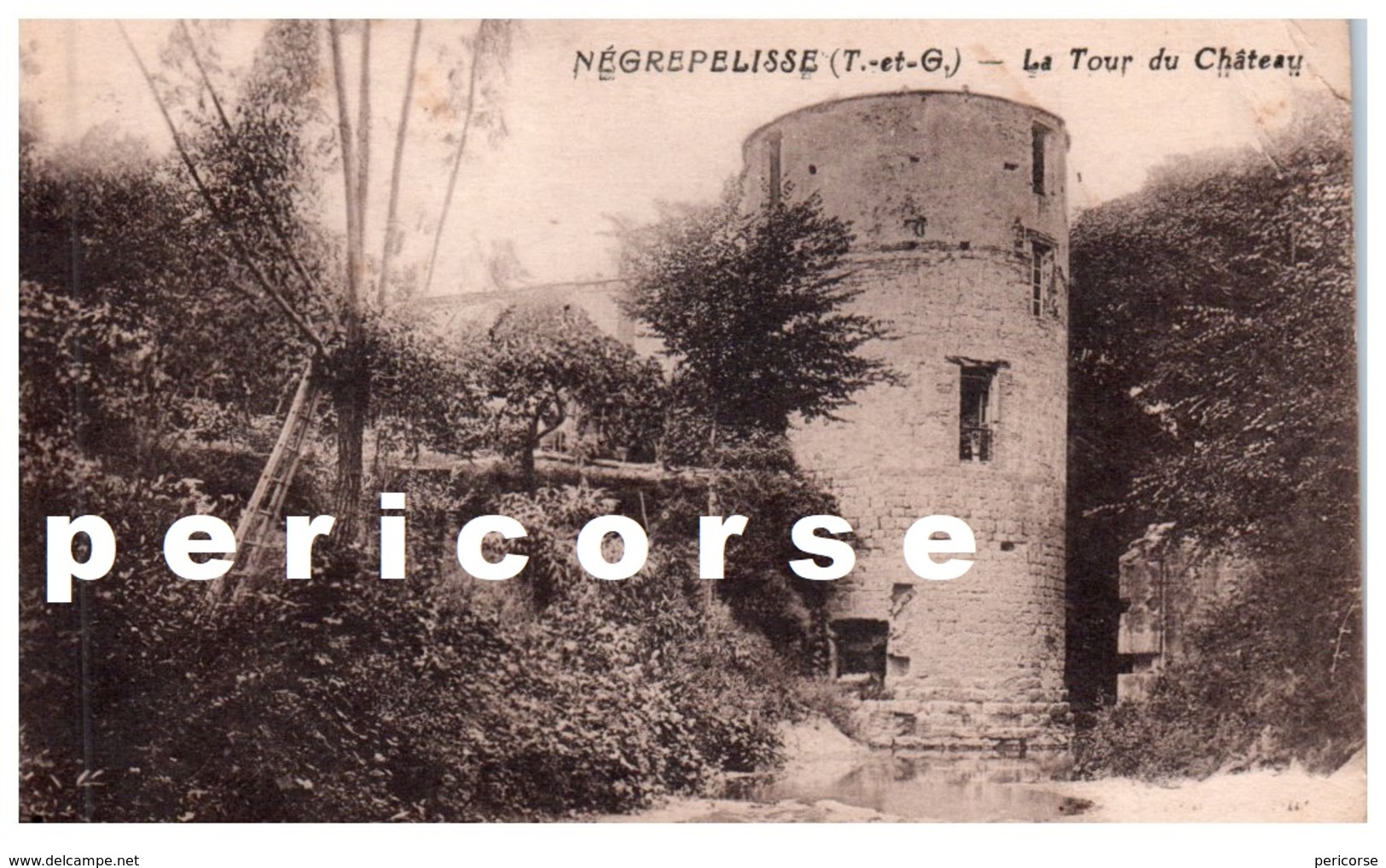 82  Negrepelisse  La   Tour Du Château - Negrepelisse