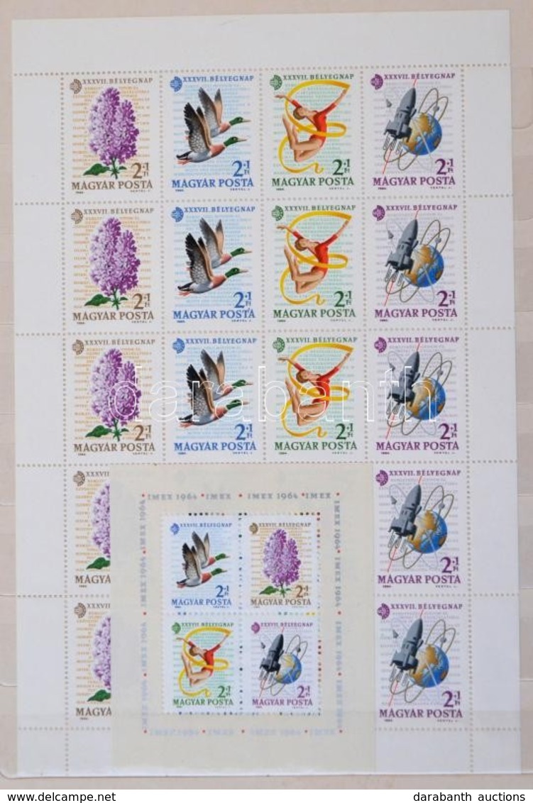 ** Gyűjtemény 1963-1966: A Sorok 2, A Blokkok 1 Példányban, 8 Lapos A/4 Berakóban - Used Stamps
