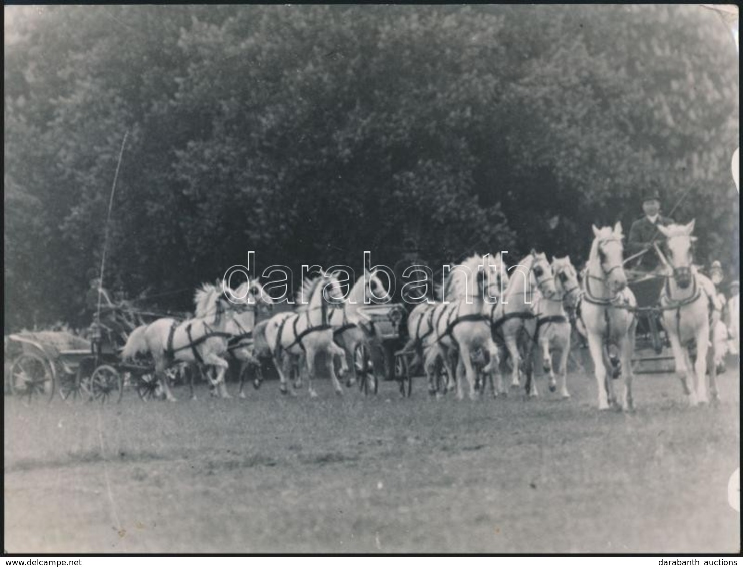 Cca 1930 Fogathajtók Kaksa Rajmund Tatai Fényképész Fotója. Hagyatékából.24x18 Cm - Altri & Non Classificati