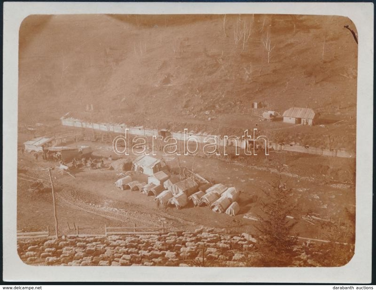 1916 A Máriavölgyi (Erdély) Vágómarha Telepre Hajtott Juhok, Hátoldalon Feliratozott Fotó, 9×12 Cm - Non Classés