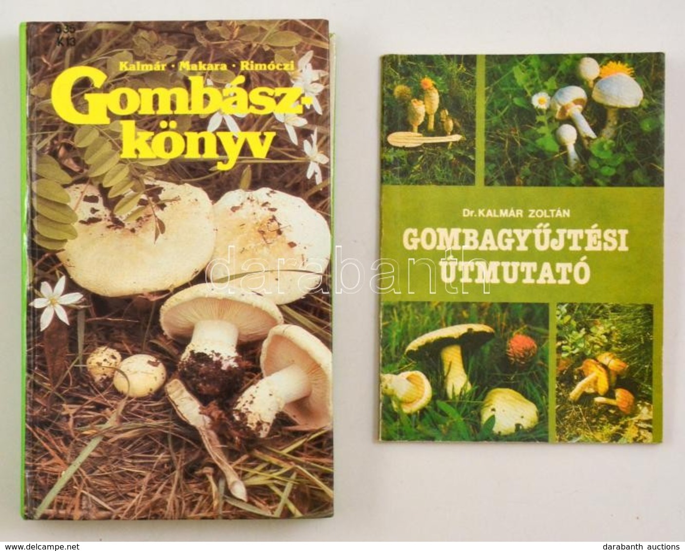 2 Db Gombászkönyv: Kalmár - Makara - Rimóczi: Gombászkönyv. Bp., 1989, Natura.; Kalmár Zoltán: Gombagyűjtési útmutató. B - Non Classificati