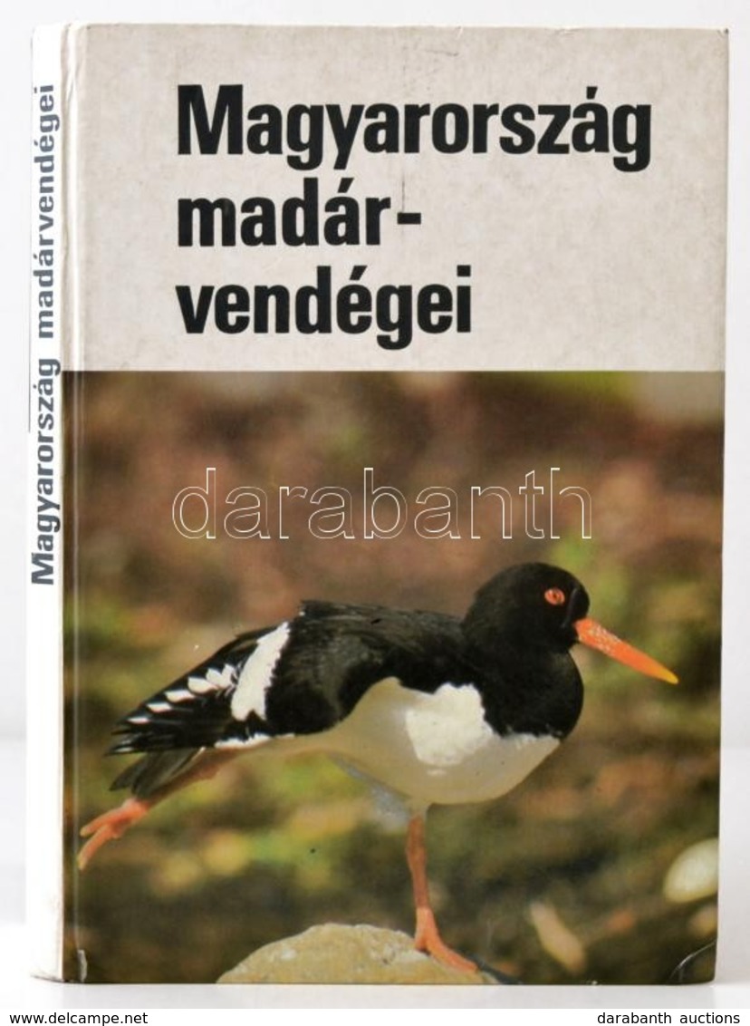 Magyarország Madárvendégei. Szerk.: Haraszthy László. Bp.,1988, Natura. Kiadói Kartonált Papírkötés, Tollas Bejegyzéssel - Sin Clasificación