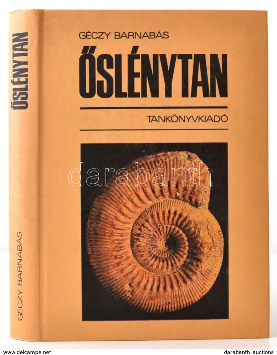 Géczy Barnabás: Őslénytan. Bp.,1986, Tankönyvkiadó. Második. Kiadói Kartonált Papírkötés, Jó állapotban. Megjelent 2000  - Non Classificati