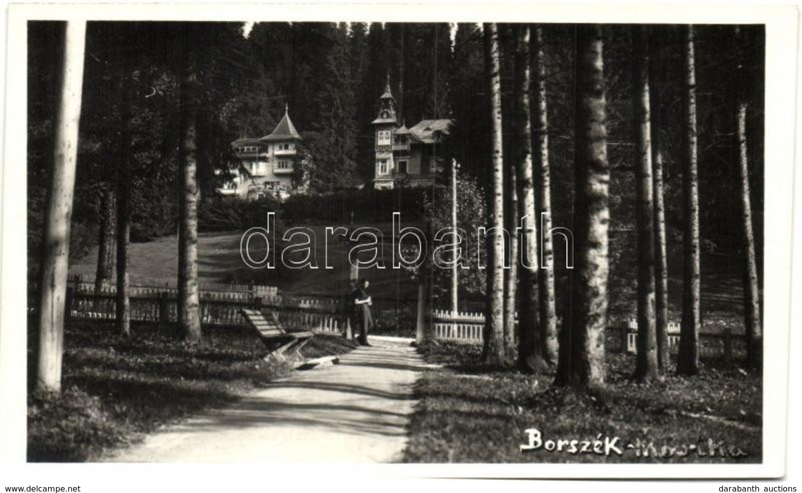 * T1/T2 Borszék, Borsec; Marika Villa / Villa - Non Classés