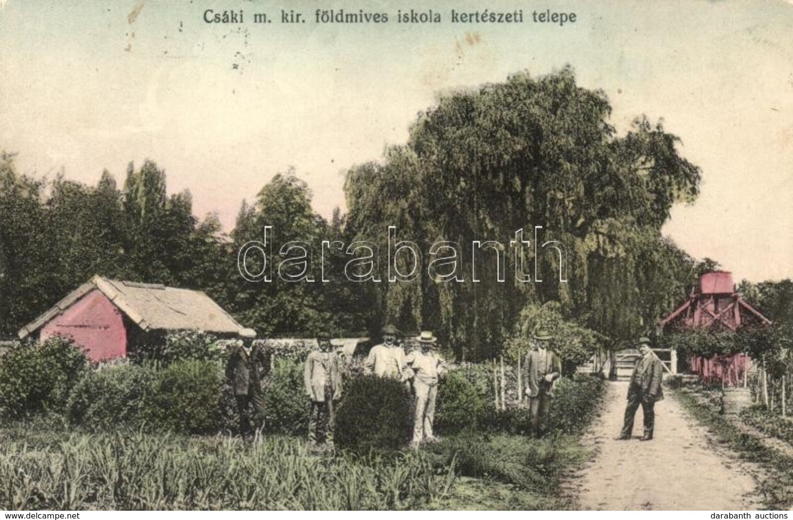 T2/T3 Csák, Csákova, Ciacova; M. Kir Földműves Iskola Kertészeti Telepe, Grádl Péter Kiadása / Farmer School, Horticultu - Non Classificati