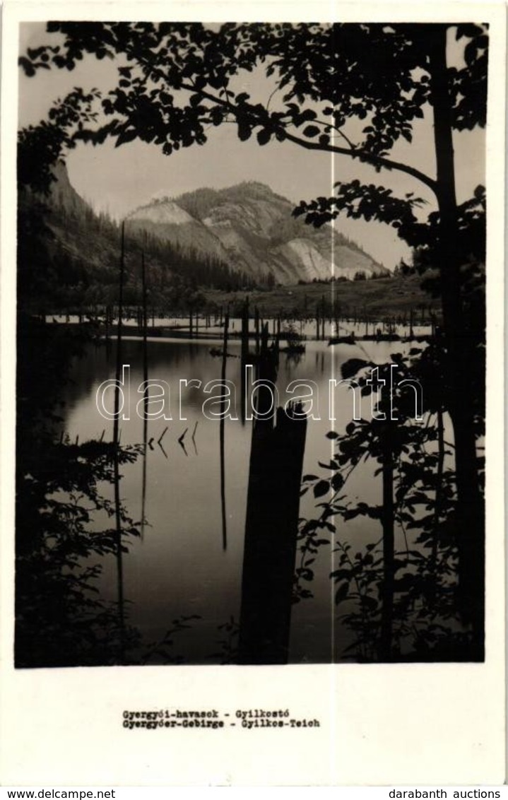 T3 Gyilkos Tó, Lacul Rosu; A Facsonkok A Tóban, Gyergyói-havasok / Tree Stumps In The Water, Mountains (kis Szakadás / S - Ohne Zuordnung