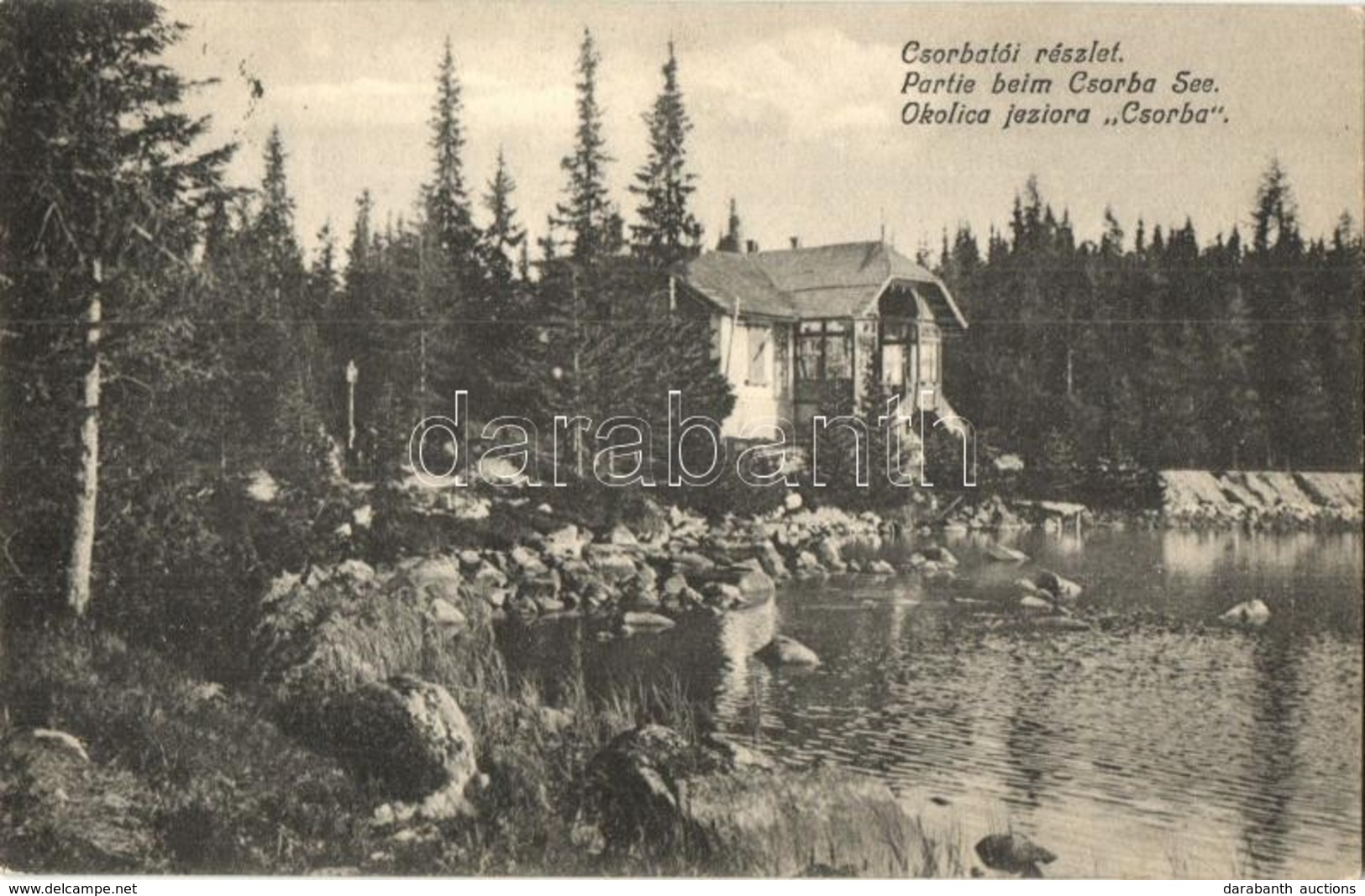 T2 1906 Tátra, Magas Tátra, Vysoké Tatry; Csorba Tói Részlet / Okolica Jeziora Csorba, Strbské Pleso / Lake - Unclassified