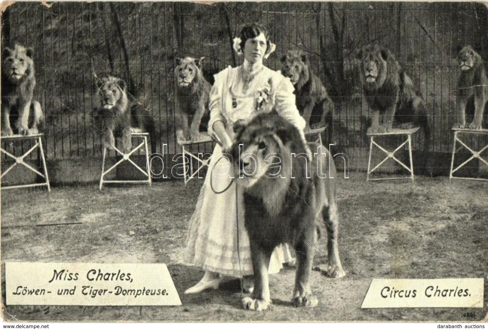 T2/T3 1912 Miss Charles, Löwen- Und Tiger-Dompteuse / Circus Charles Lion And Tiger-tamer (kopott Sarkak / Worn Corners) - Sin Clasificación