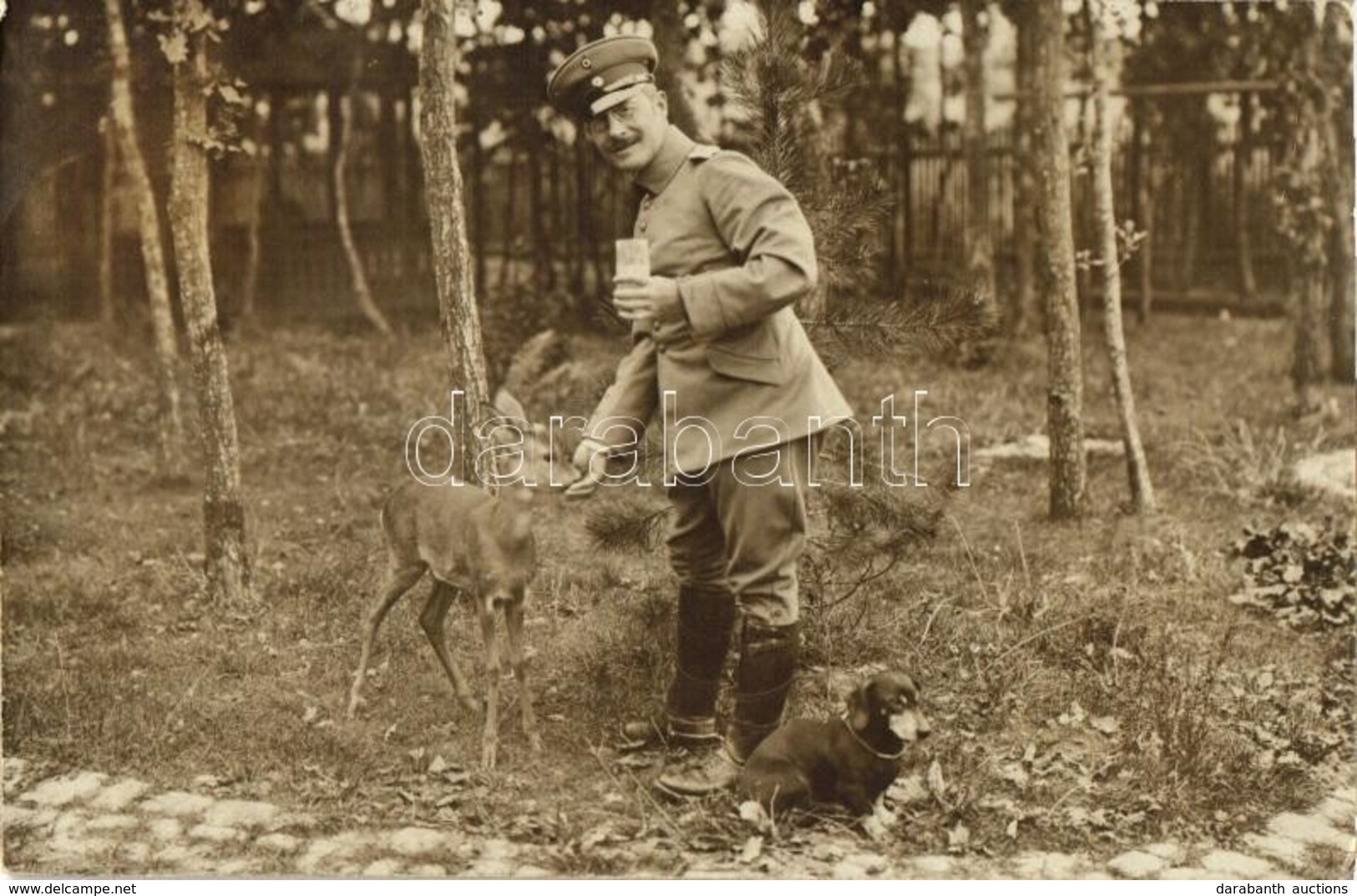 T2/T3 WWI German Military Officer Feeding A Deer, Atelier Alberti Photo (fl) - Unclassified