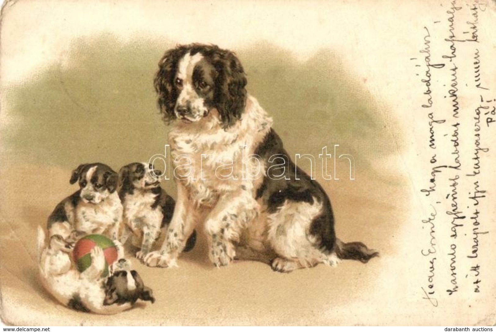 T3/T4 1899 Dog With Puppies, Litho (EB) - Non Classificati