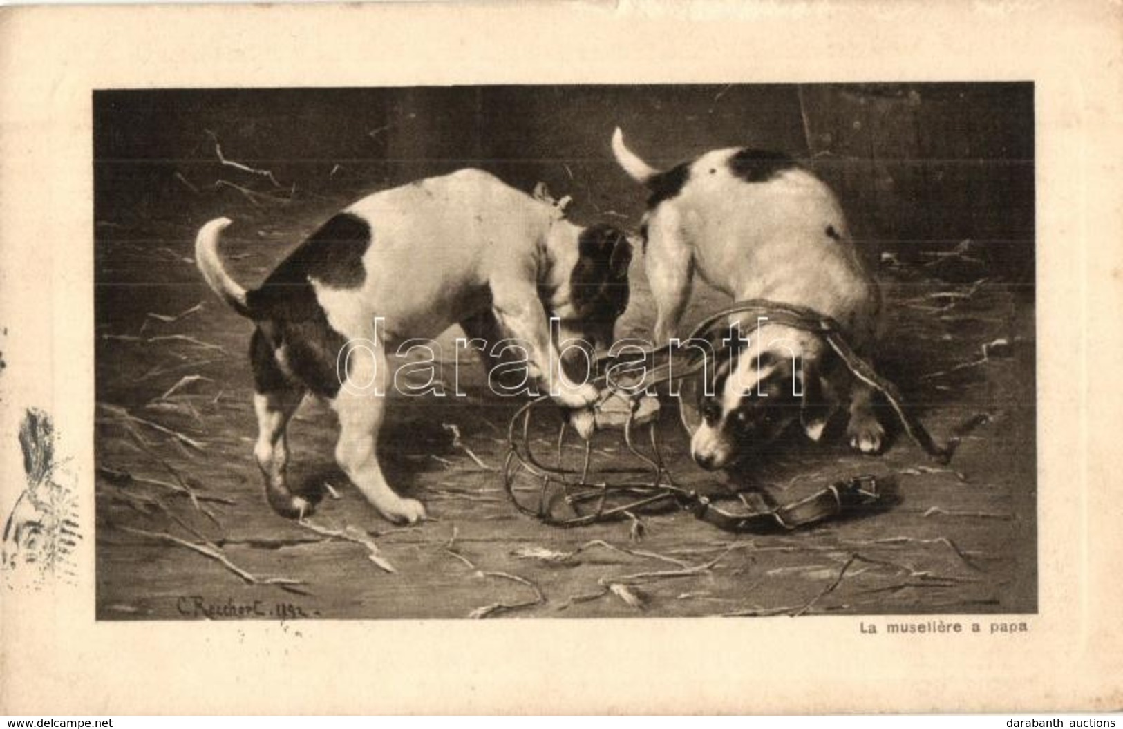 T2 Dogs. Wiener Rotophot Serie Nr. 2341. S: Carl Reichert - Ohne Zuordnung