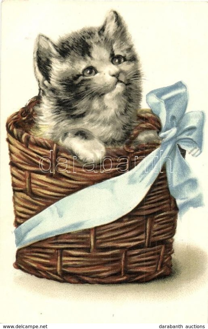 ** T2 Cat In A Ribboned Basket. Emb. Litho - Non Classificati