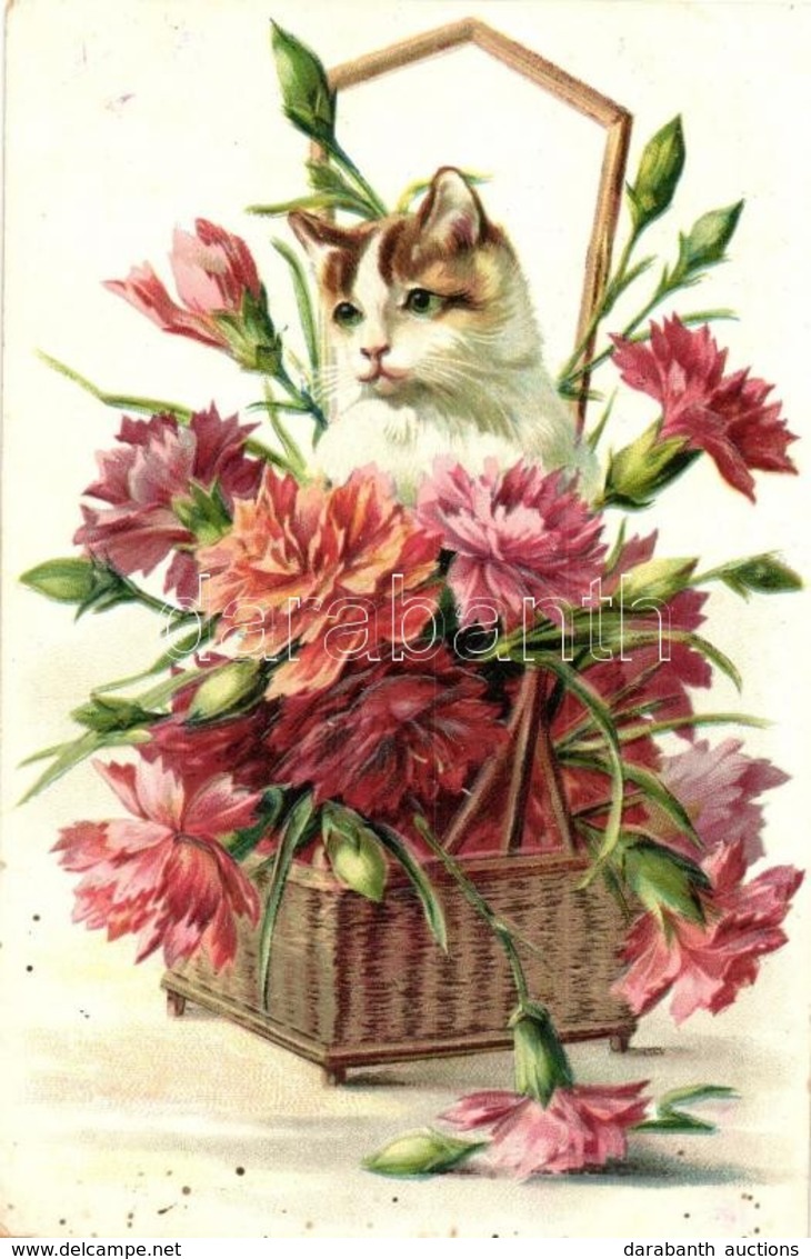 T2 1906 Cat With Flowers In A Basket. Emb. Litho - Ohne Zuordnung