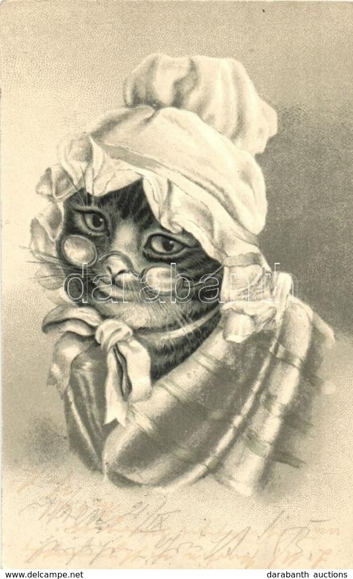 T2/T3 Cat Granny. Emb. Litho (apró Szakadás / Tiny Tear) - Unclassified