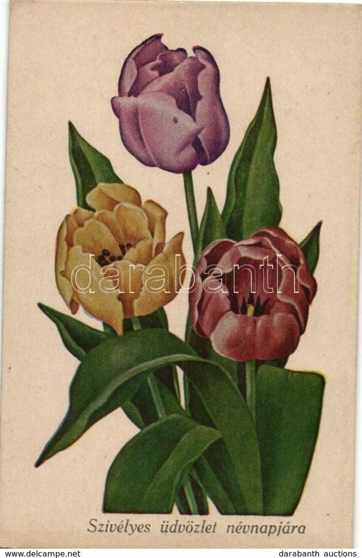 ** T2/T3 Szívélyes üdvözlet Névnapjára / Name Day, Tulips - Unclassified