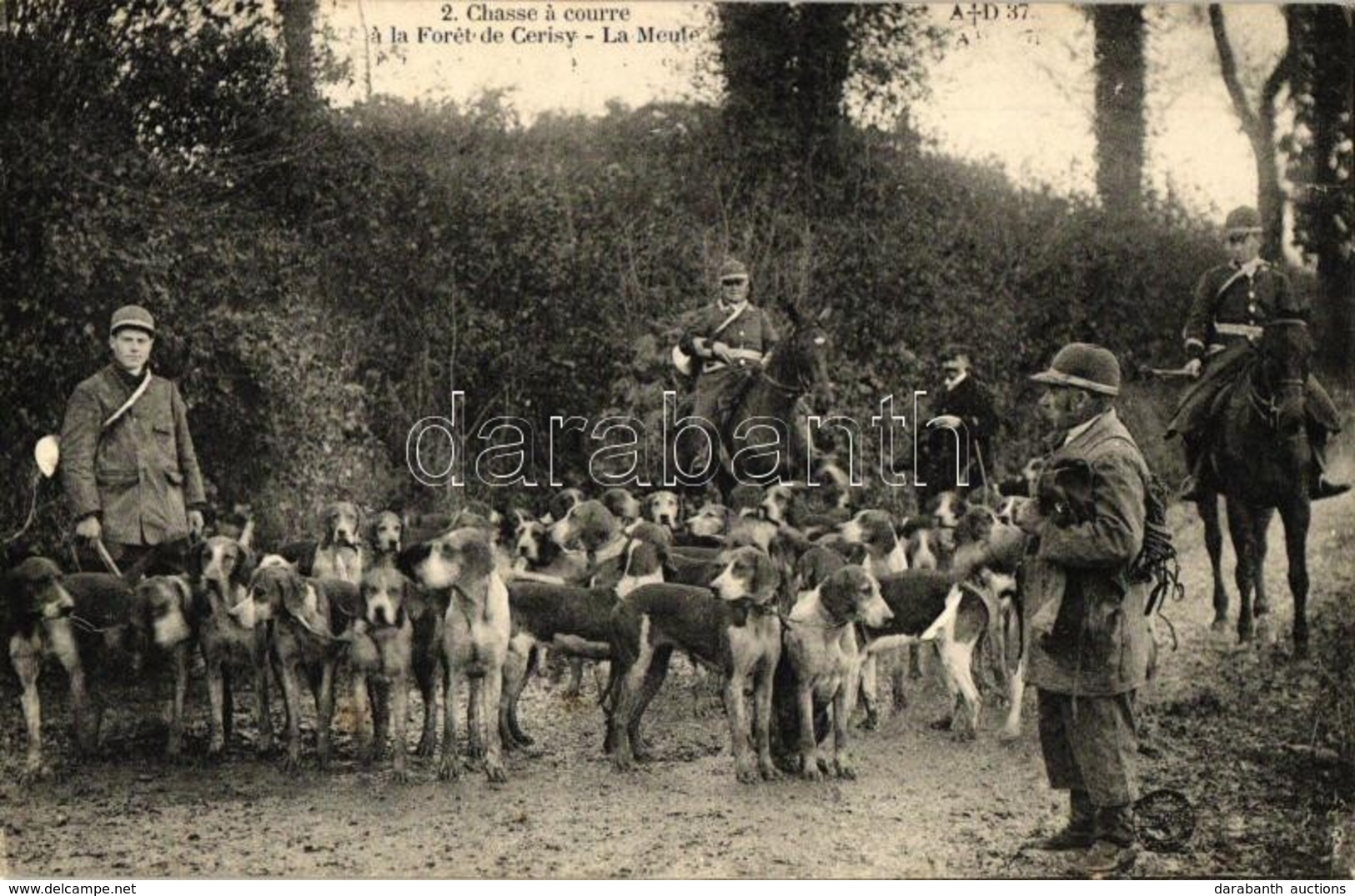 ** T2 'Chasse A Courre á La Forét De Cerisy - La Meute' / Hunting With Hounds At Cerisy Forest, The Pack Of Dogs And Hun - Non Classificati