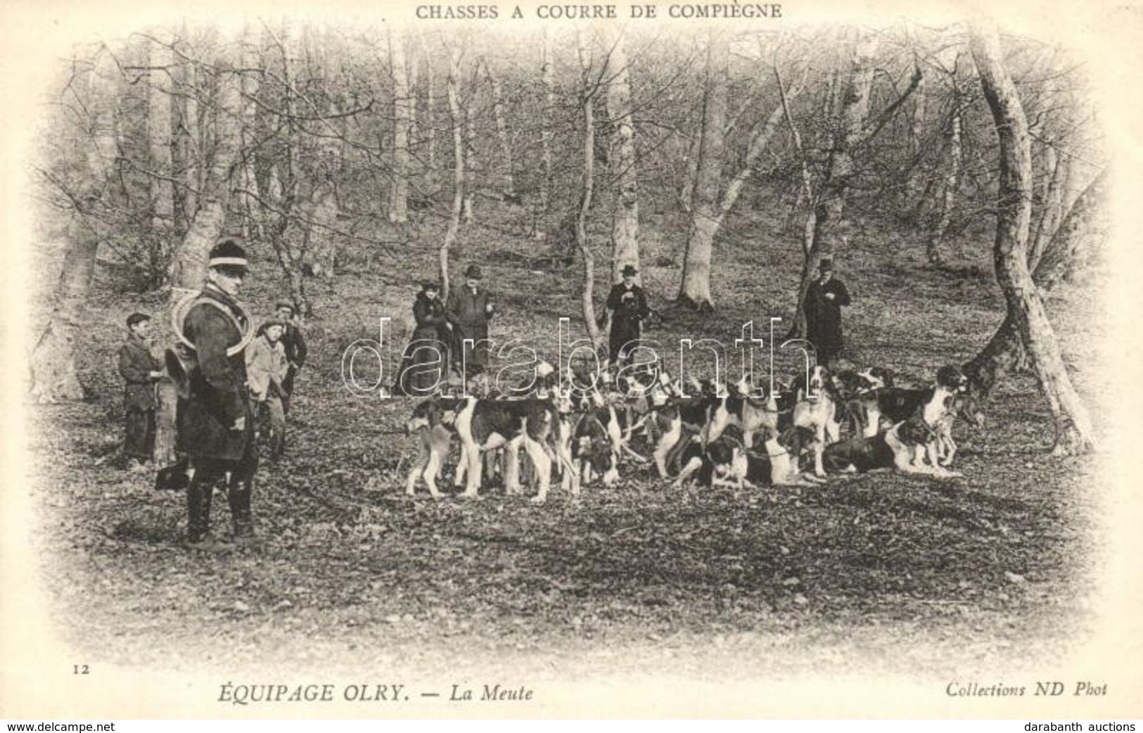 ** T2 'Chasses A Courre De Compiégne - Équipage Olry - La Meute' / Compiégne, Hunters, Hunting Dog Pack - Non Classés