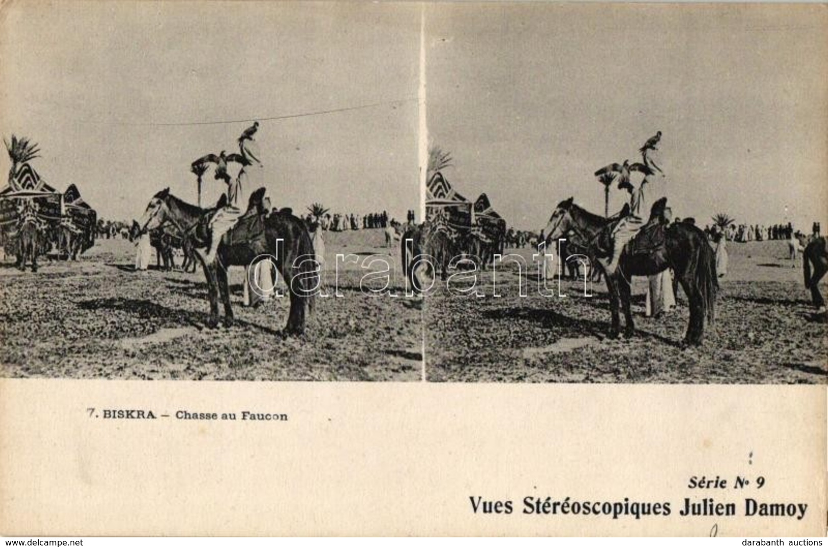 ** T1/T2 Biskra, Chasse Au Faucon / Algerian Hunter With Falcon, Vues Stereoscopiques Julien Damoy Serie No. 9., Stereo  - Ohne Zuordnung