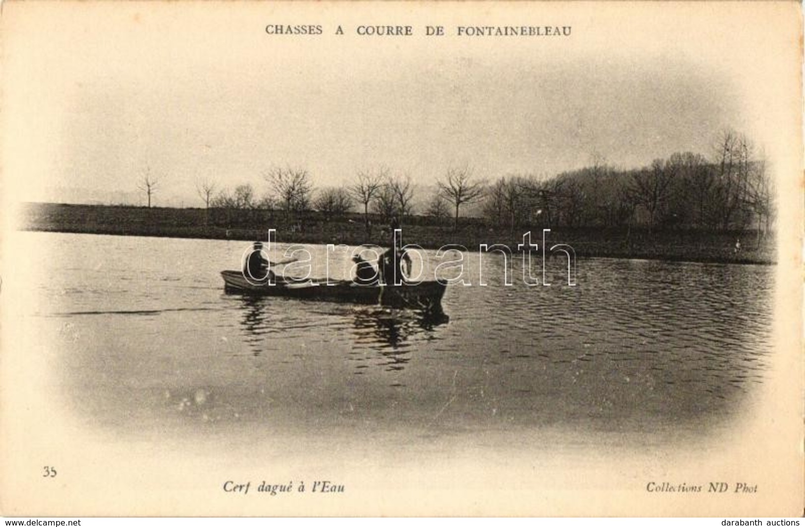 ** T2 Chasses A Courre De Fontainebleau, Cerf Dague A L'Eau /  Deer Hunting, Deer Capturing In The Water - Ohne Zuordnung