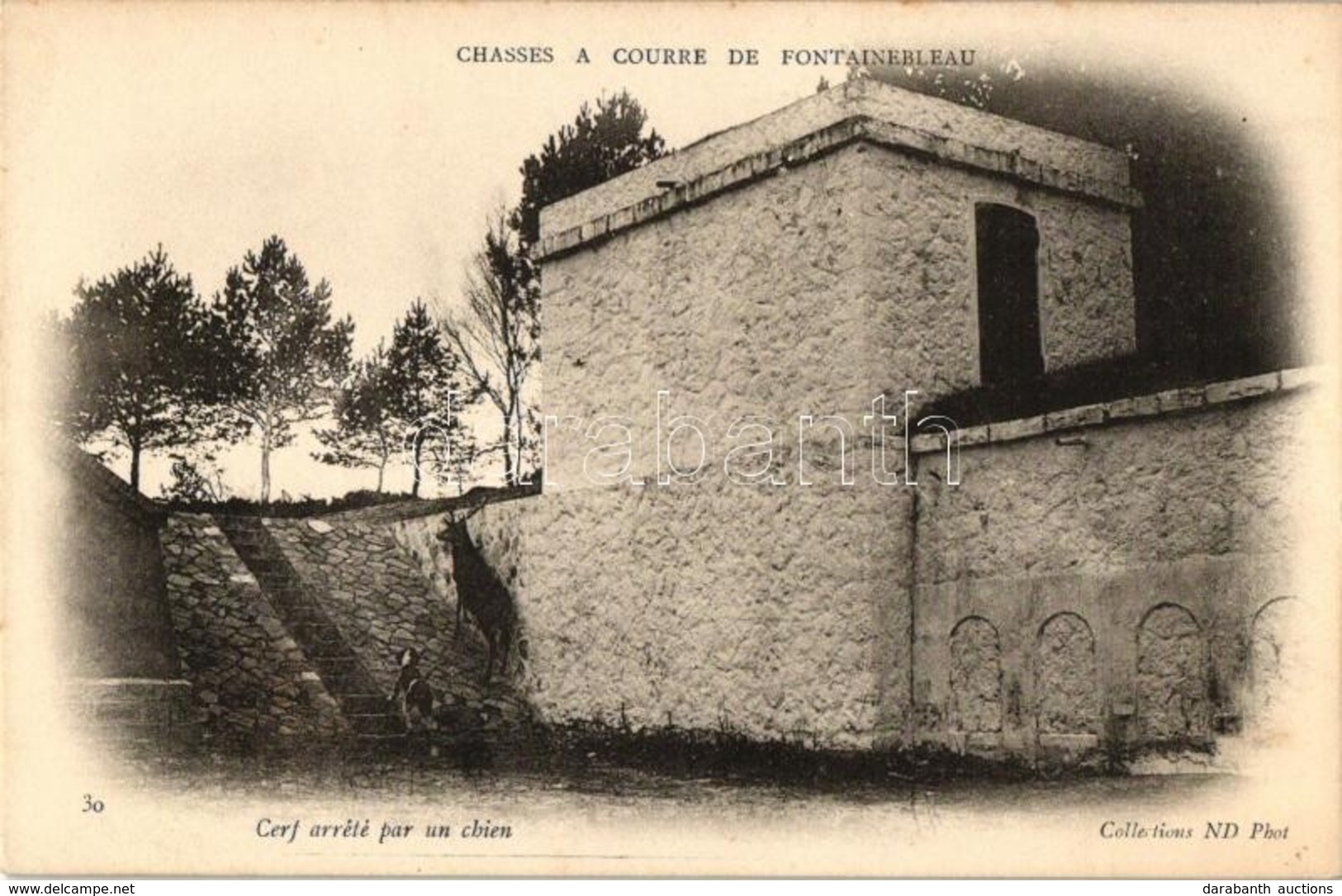 ** T2 'Chasses A Courre De Fontainebleau - Cerf Arrété Par Un Chien' / Hunting At Fontainebleau, Deer Arrested By Huntin - Non Classificati