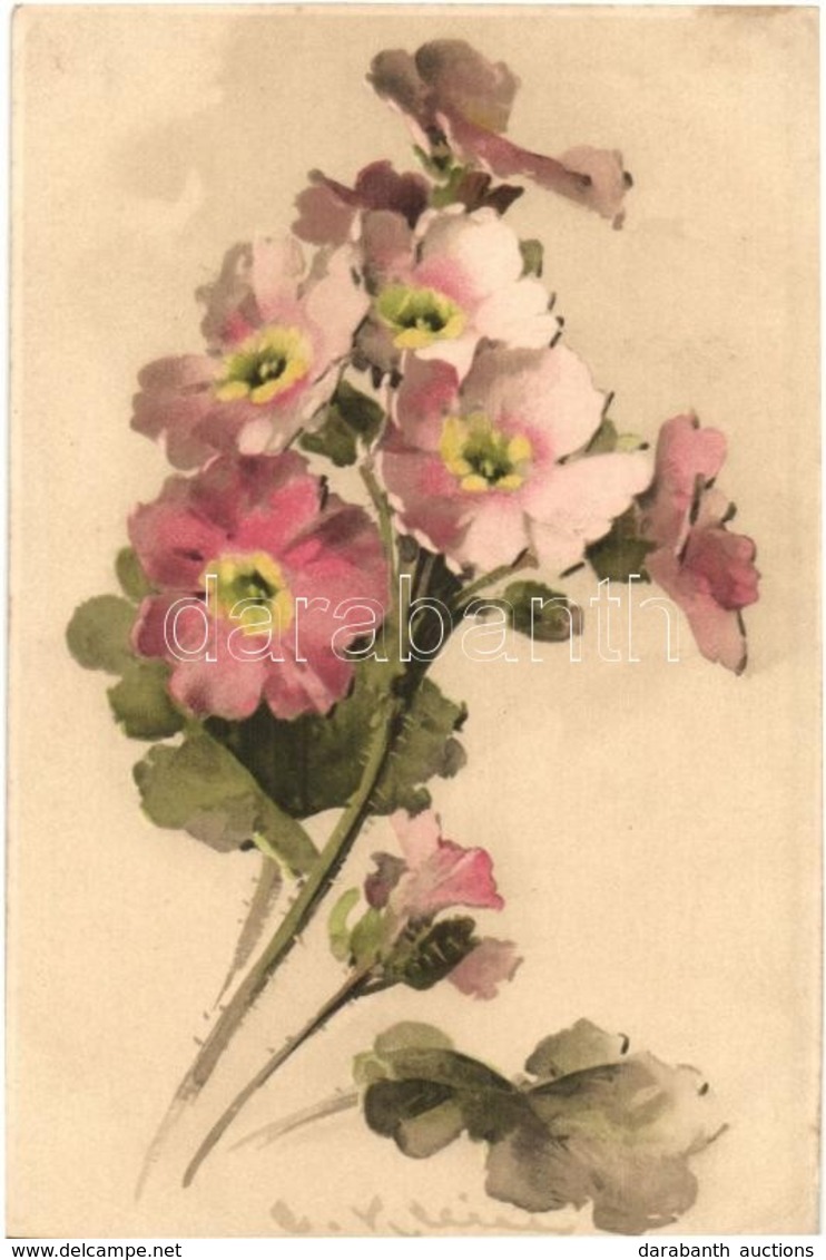 2 Db RÉGI C. Klein Litho Virág Motívumlap / 2 Pre-1945 Litho Flower Motive Postcards Signed By C. Klein - Non Classés