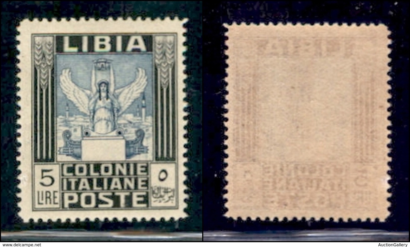 COLONIE - LIBIA - 1940 - 5 Lire (163) - Gomma Integra (800) - Sonstige & Ohne Zuordnung