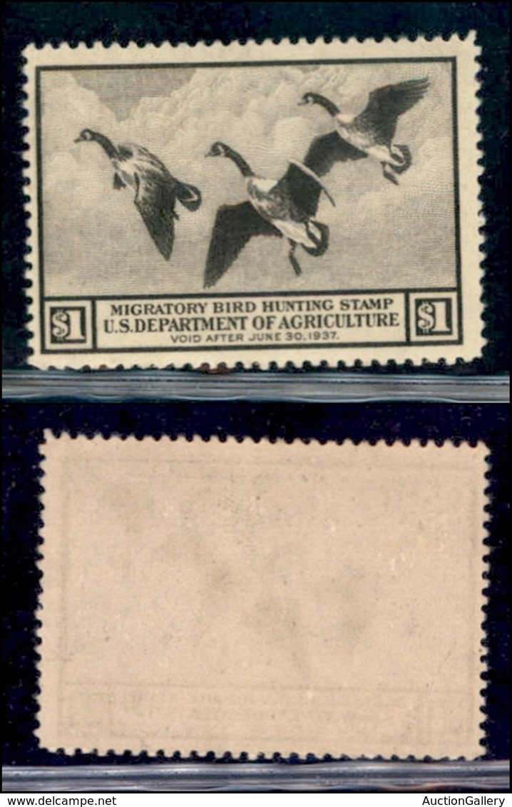 OLTREMARE - STATI UNITI - Dipartimento Agricoltura - 1936 - 1 Dollaro (Scott RW3) - Gomma Integra - Other & Unclassified