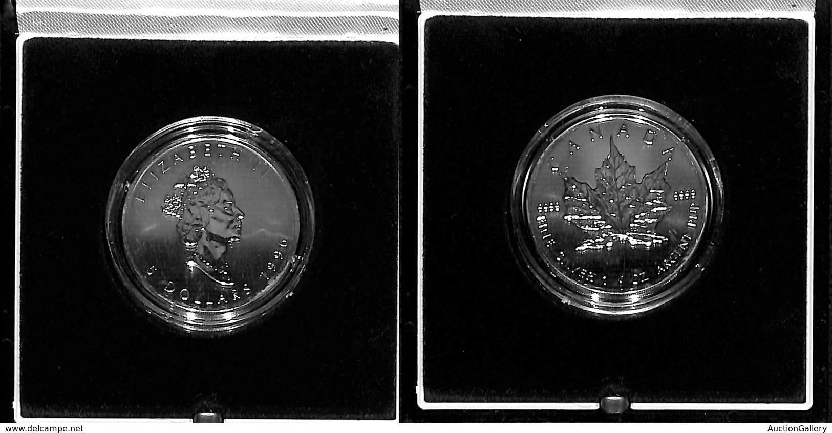 MONETE - MEDAGLIE - 1996 - Canada - 5 Dollari Argento - SPL - Confezione Originale - Autres & Non Classés