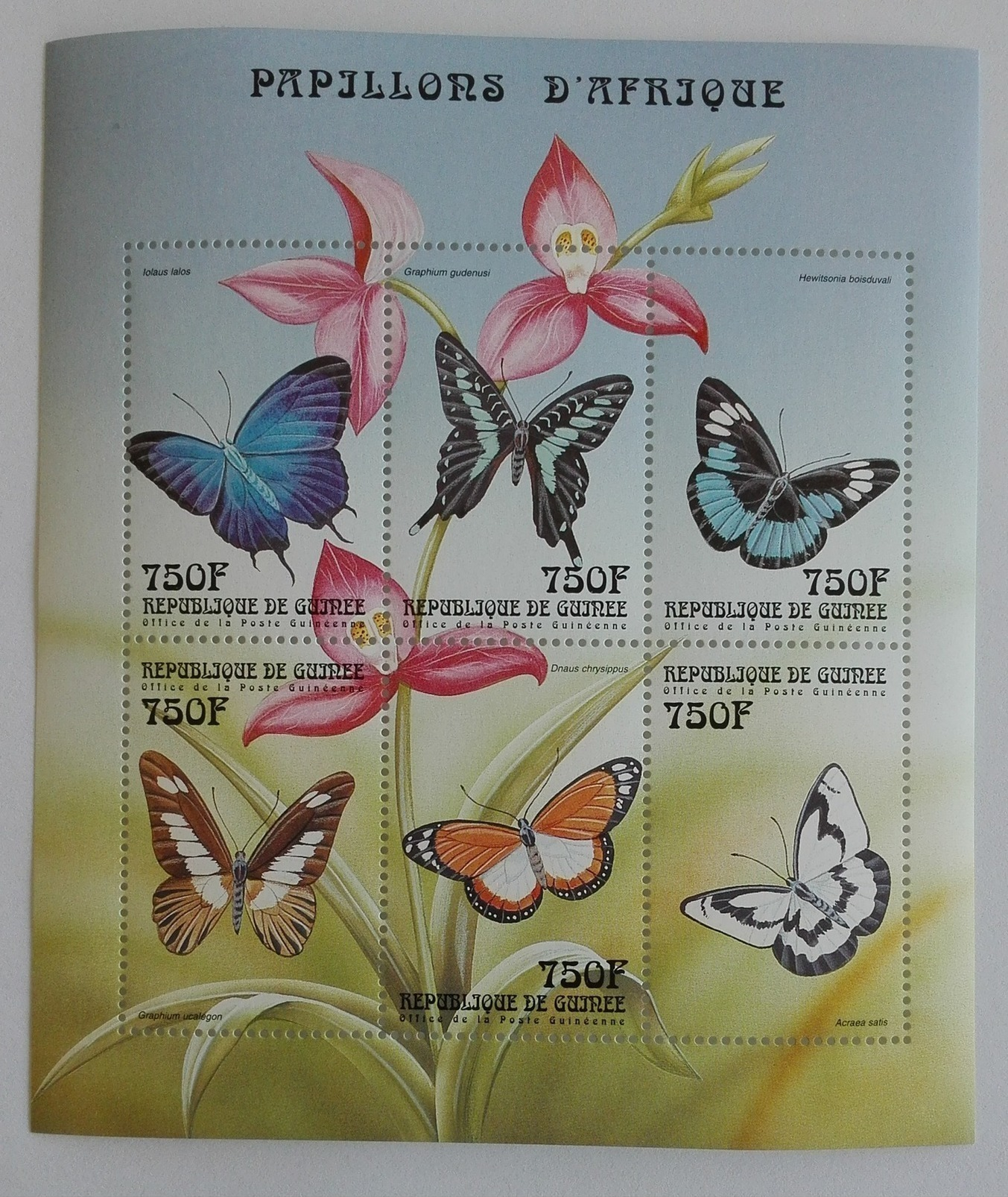 Guinee 1999** Klb.2610-15. Butterflies Of Africa MNH [12182] - Butterflies