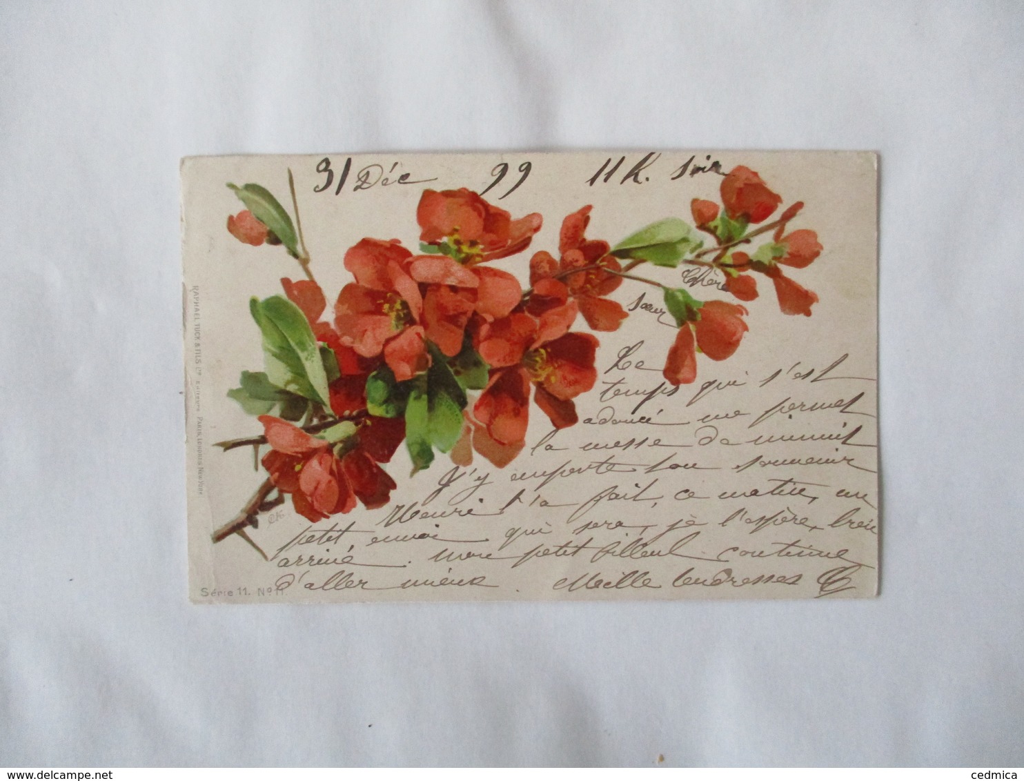 FLEURS ROUGES 1900 C. KLEIN  RAPHAEL TUCK & FILS SERIE 11. N° 11 - Klein, Catharina