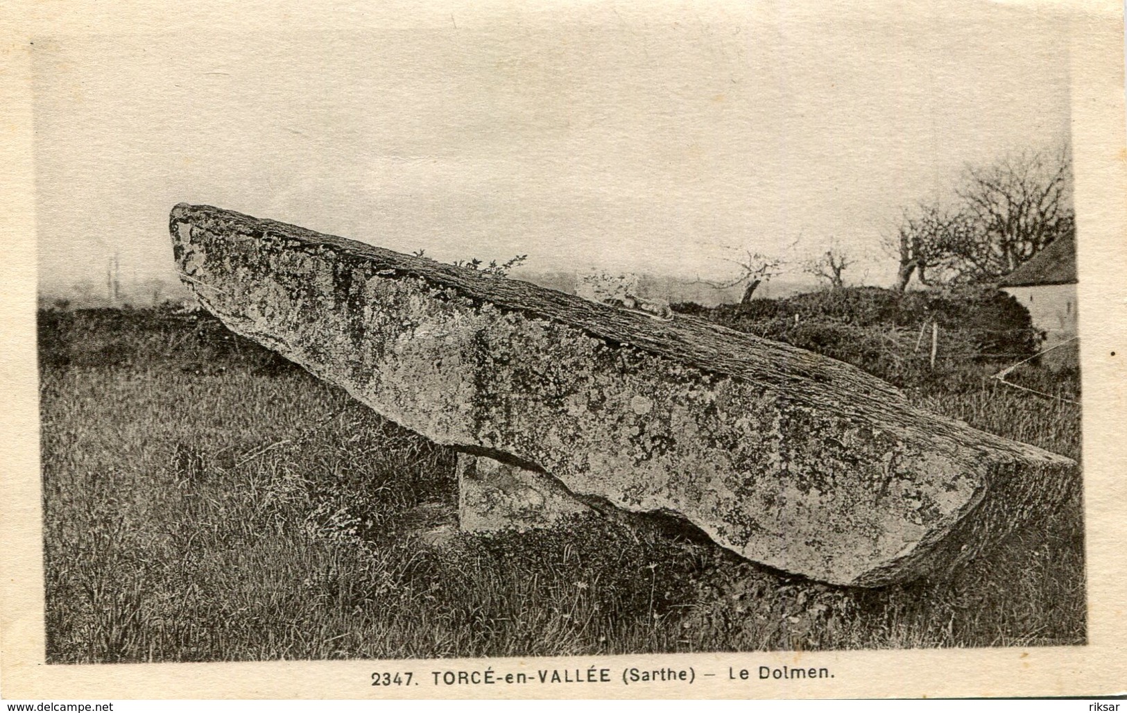 DOLMEN(TORCE EN VALLEE) - Dolmen & Menhirs