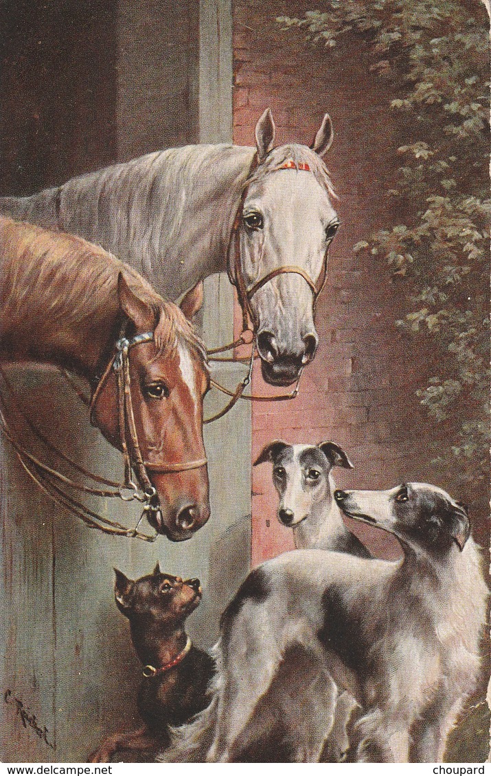 Très Belle Carte Postale Ancienne De Chien Lévrier Barzoi Et Greyhound Avec Chevaux - Perros