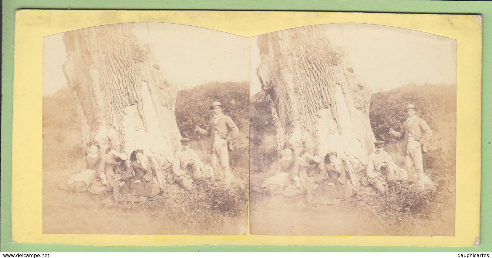 MARCHENOIR : Le Chêne Du Comte Thibaut Vers 1860 - 1870 . Rare. Forêt. Photo Stéréoscopique. 2 Scans. Lire Descriptif - Fotos Estereoscópicas