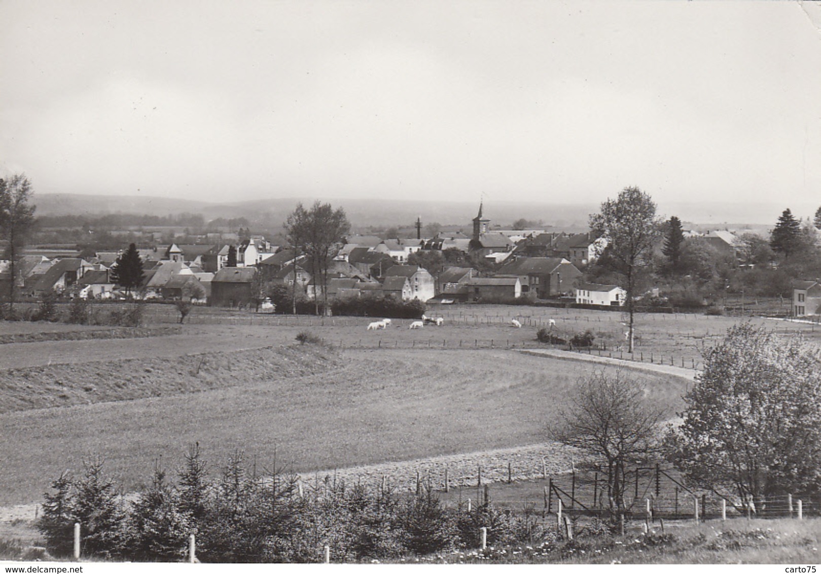 Belgique - Tintigny - Panorama - Edition Jeanty N° 1 - Tintigny