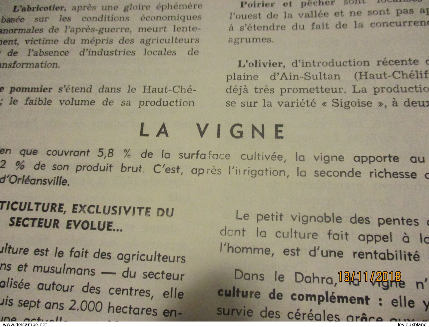 Guerre d'Algérie/La semaine en Algérie du 20 au 26 juillet 1961/Délégation Générale en Algérie/ N°135/ 1961      VPN170