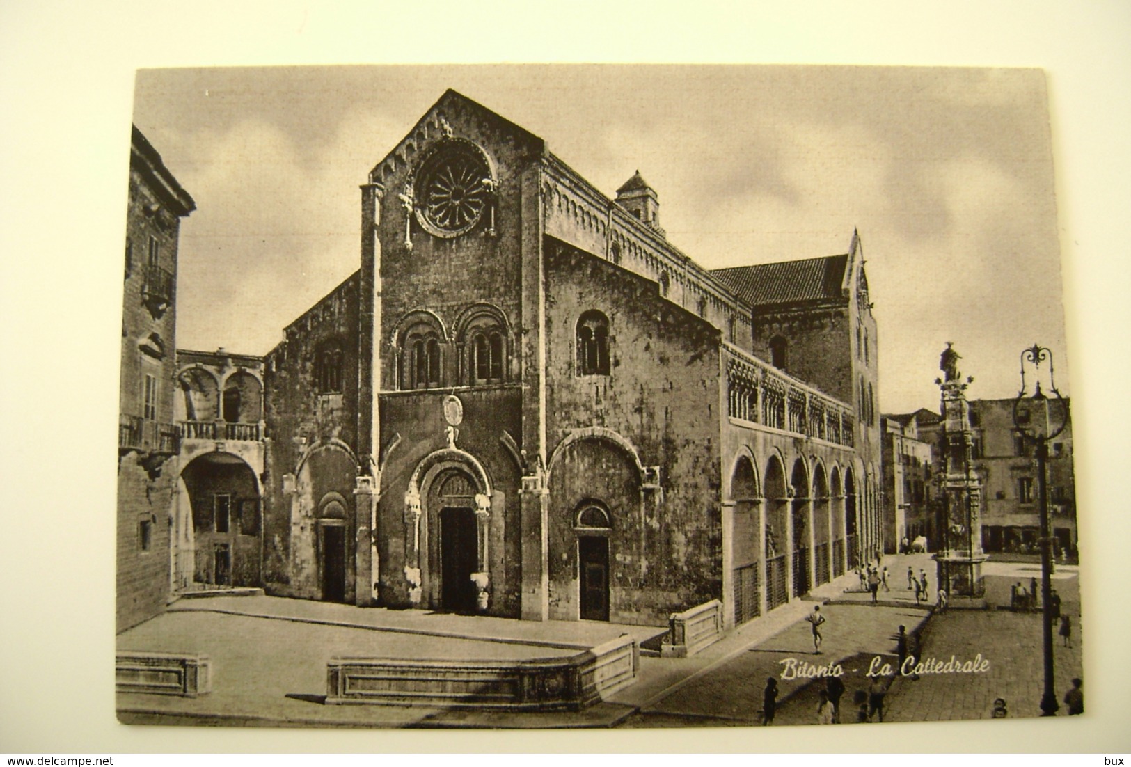 BITONTO  CATTEDRALE    BARI  NON VIAGGIATA  COME DA FOTO IMMAGINE   OPACA ARCH 39 - Bitonto