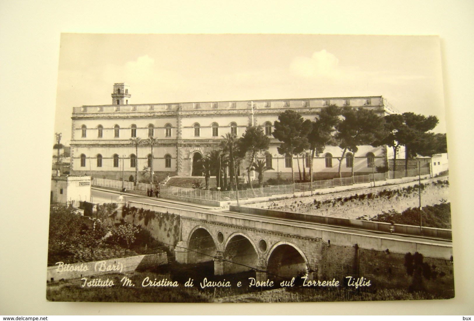 BITONTO    ISTITUTO  BARI  NON VIAGGIATA  COME DA FOTO IMMAGINE LUCIDA   ARCH 39 - Bitonto