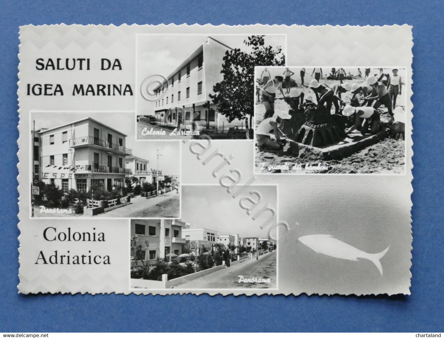 Cartolina Igea Marina - Colonia  Adriatica - Varie Vedute - 1959 Ca. - Rimini