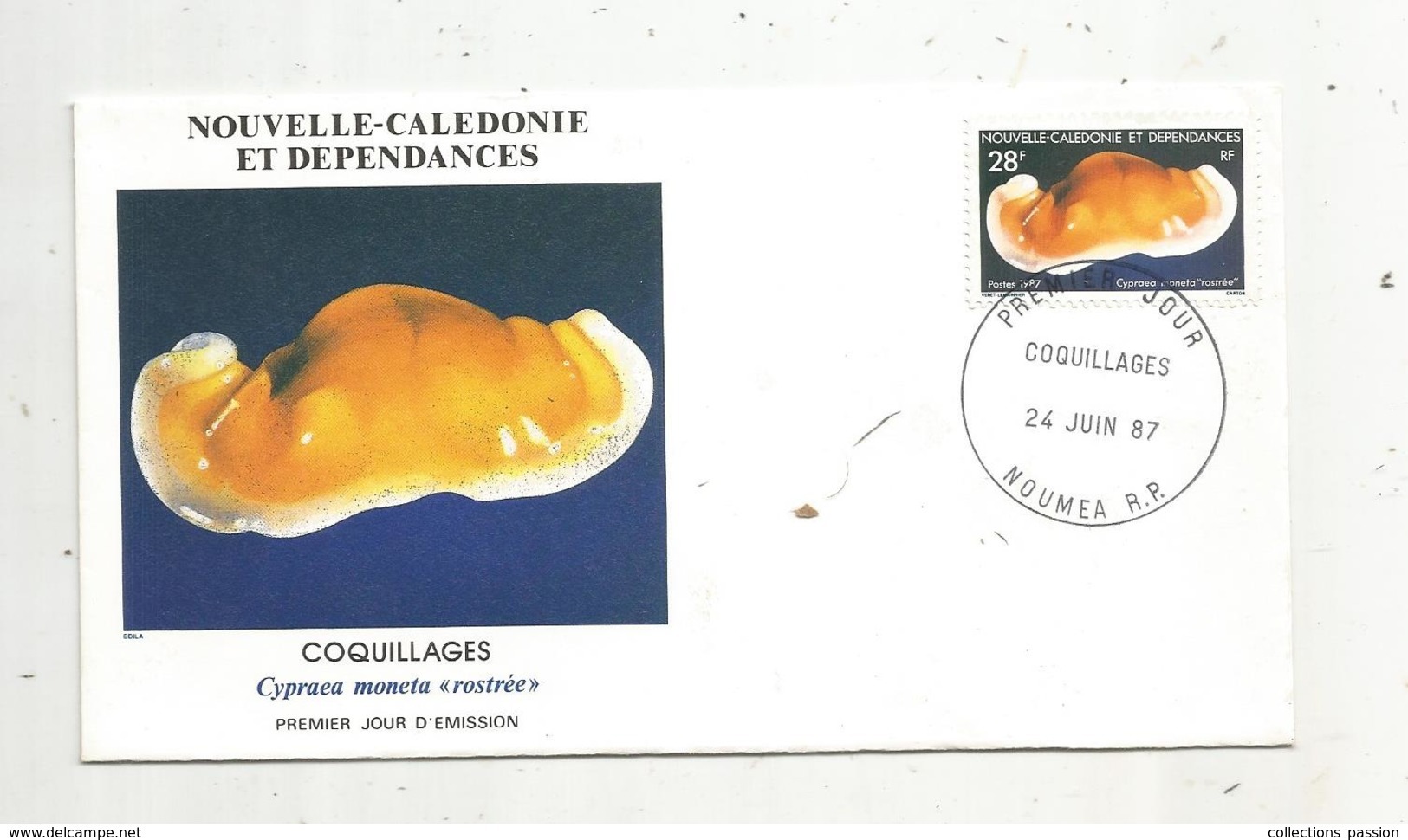 Timbre , Premier Jour , 1987 , NOUVELLE CALEDONIE ET DEPENDANCES , Coquillages, Cypraea Moneta Rostrée - FDC