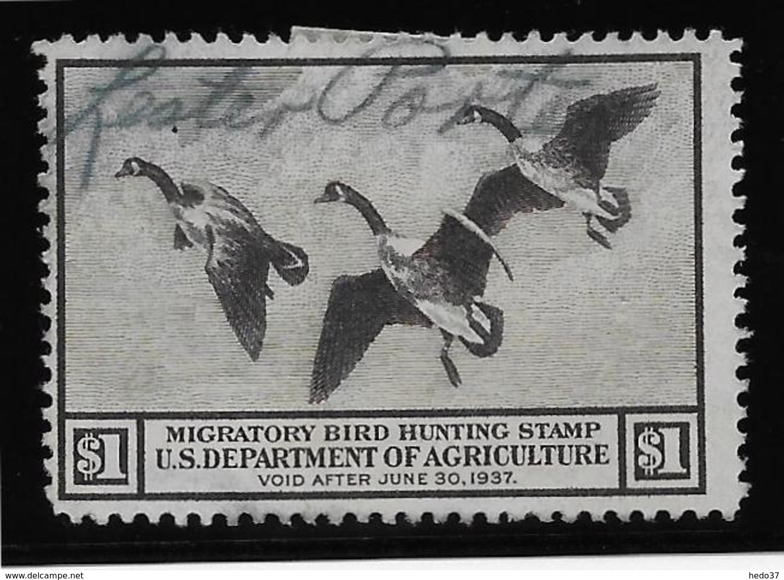 Etats Unis - Migratory Bird Hunting Stamp - 1937 - TB - Duck Stamps