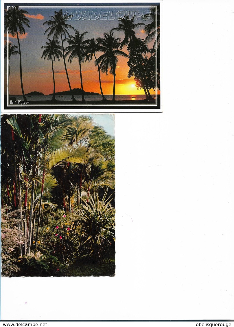 GUADELOUPE CAPESTERRE LOT DE 2 CARTES COUCHER DE SOLEIL VEGETATION TROPICALE - Autres & Non Classés