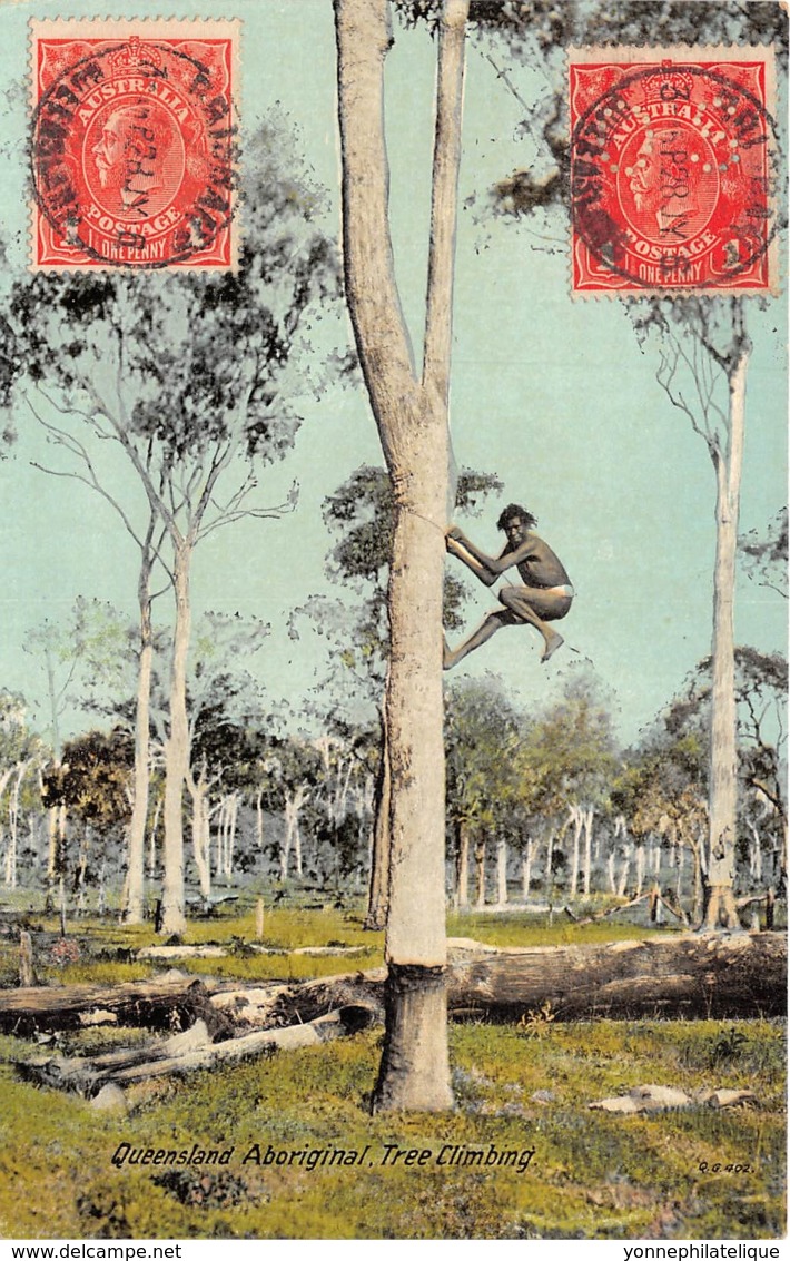 Australie / 80 - Queensland - Tree Climbing - Belle Oblitération - Autres & Non Classés