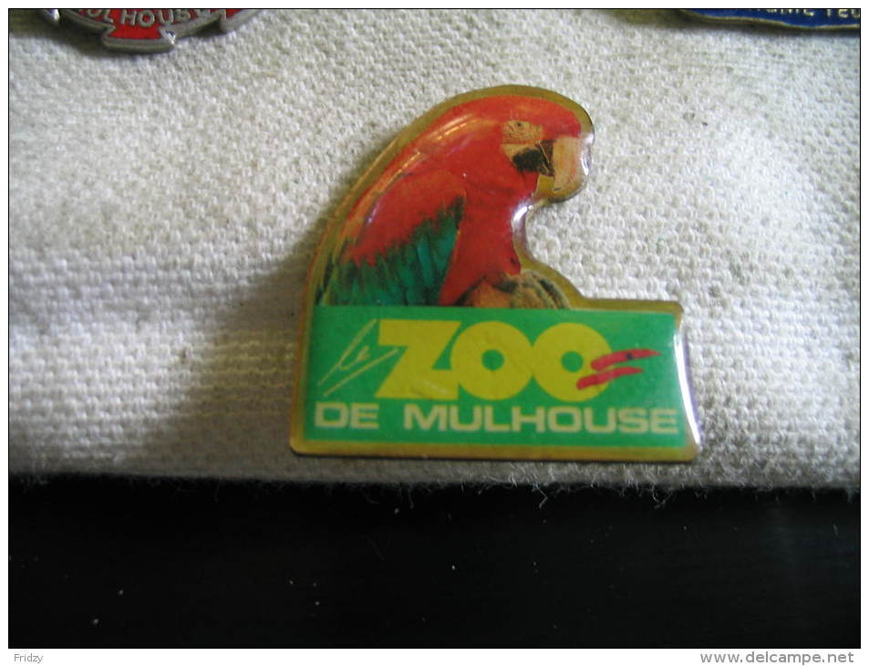 Pin's Zoo De MULHOUSE. Perroquet - Animaux