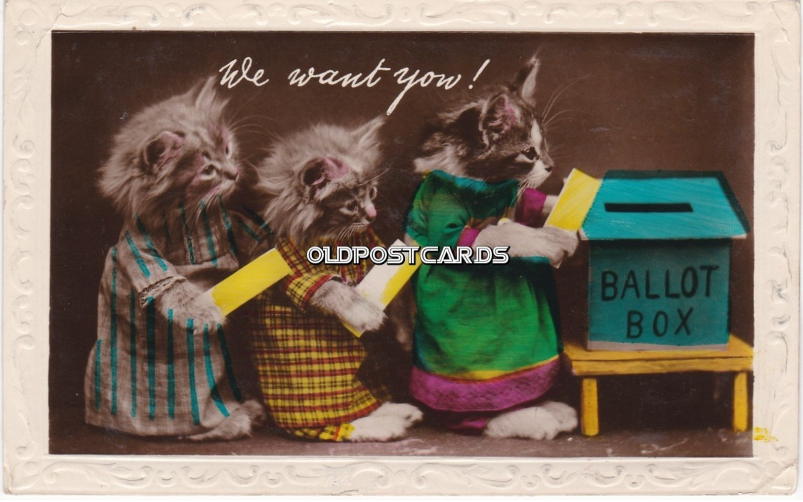 Three Cute Kittens Going To Vote. "We Want Yow". Real Photo Postcard. - Cats