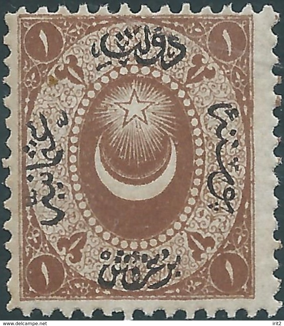 Turchia Turkey Ottomano Ottoman 1865 Duloz Issue 1 Ghr - Dark Yellow Orange , Not Used,Variety Of Color From Violet Gray - Unused Stamps