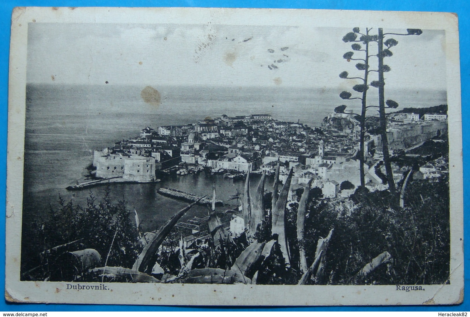 1929 Albania Dubrovnik Postcard Sent From DUBROVNIK Yugoslavia Kingdom To SCUTARI - Oblitérés