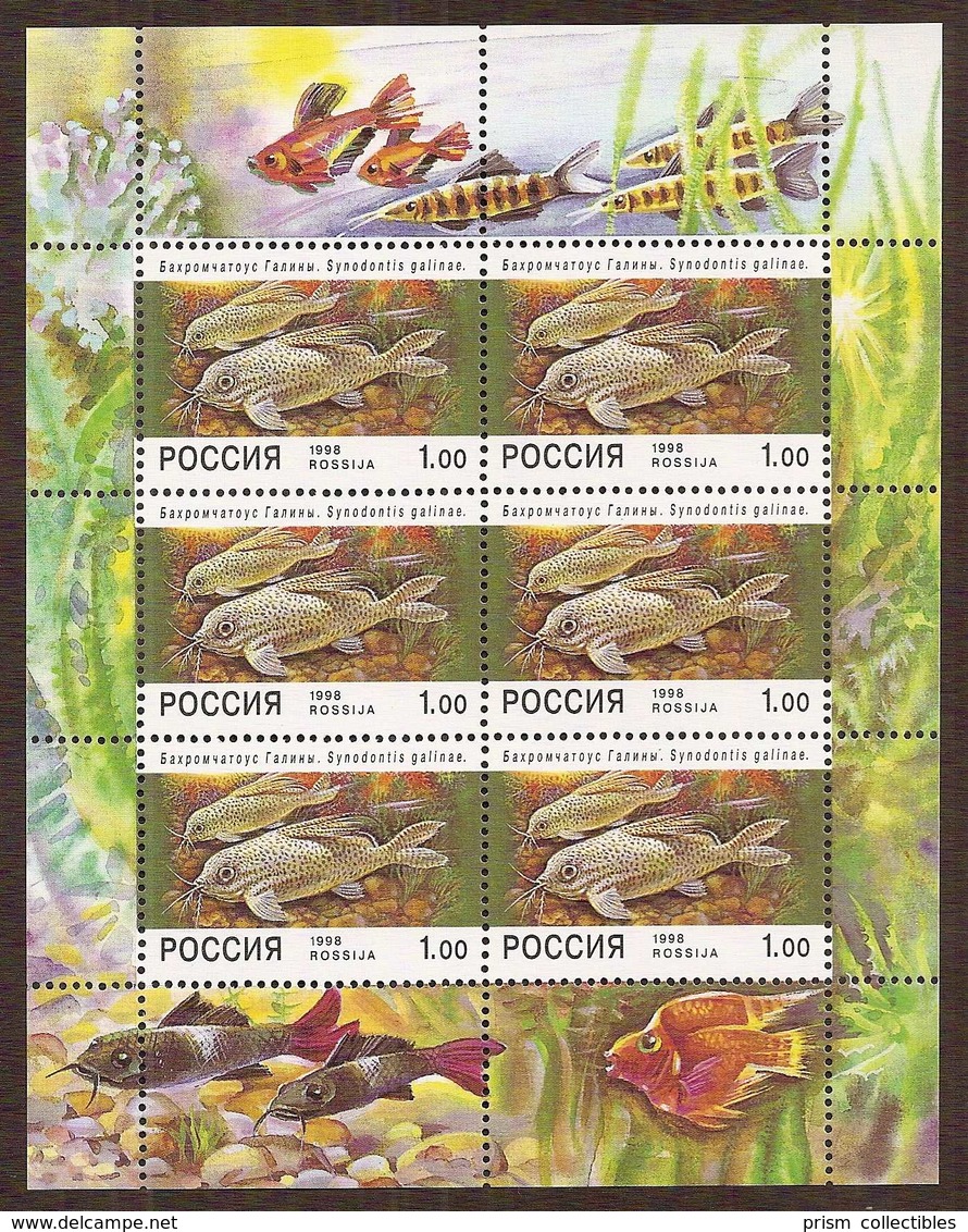 Russia 1998 Aquarium Fish Mini-sheet ... MNH** - Blocks & Sheetlets & Panes