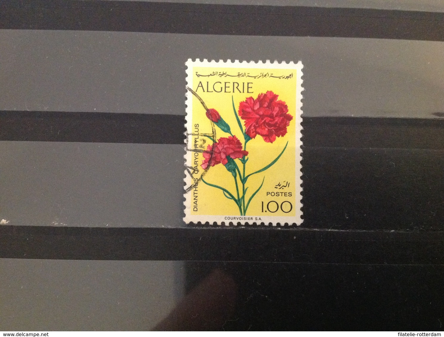 Algerije / Algeria - Bloemen (1) 1973 - Argelia (1962-...)