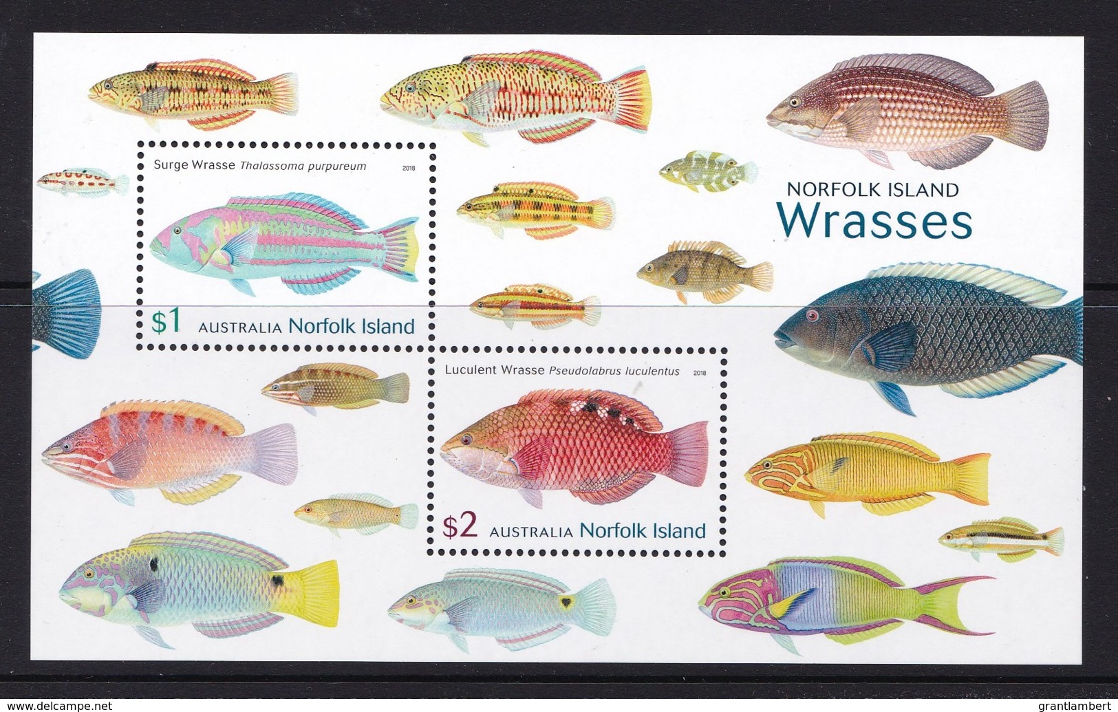 Norfolk Island 2018 Wrasses - Fish Minisheet MNH - Norfolk Island