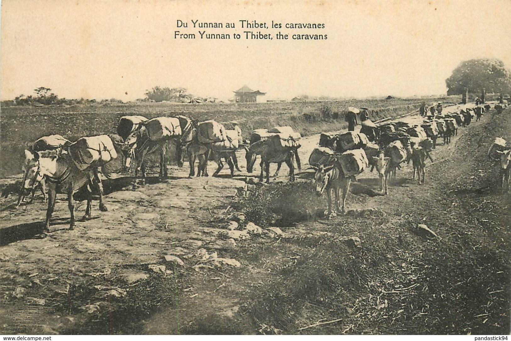 ASIE CHINE YUNNAN THIBET LES CARAVANES DU YUNNAN AU THIBET 1924    VOIR IMAGES - China